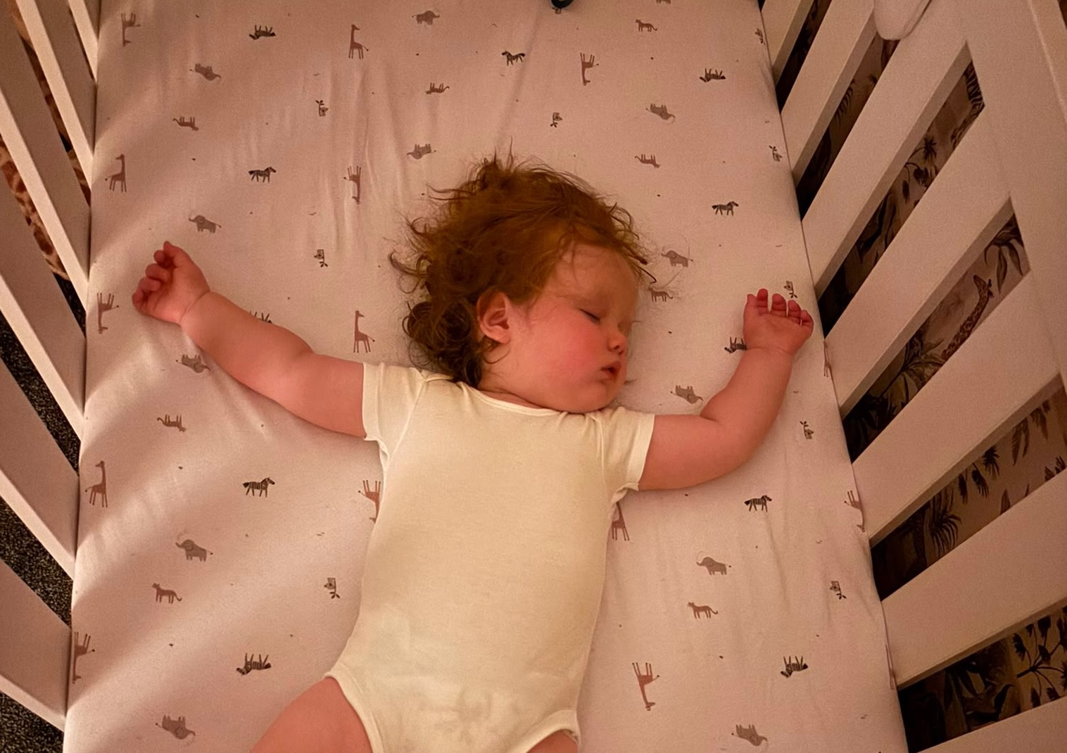 Why a Night Nanny Can Change Everything